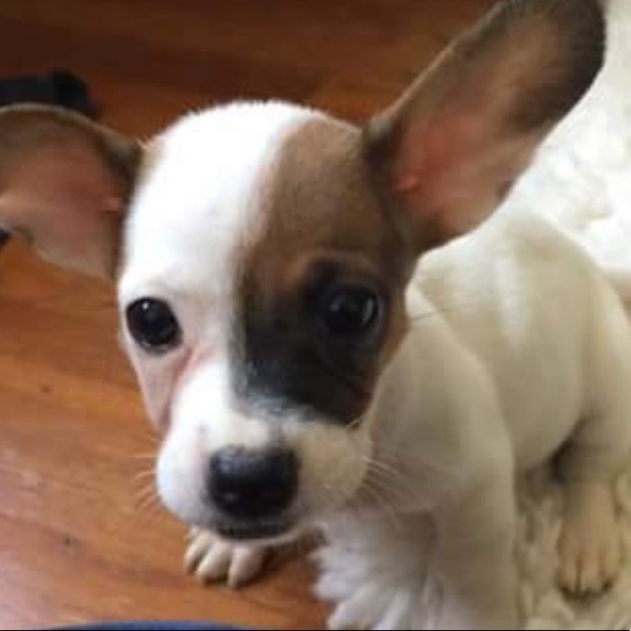 Meet your Posher, Kellie - Picture 1 of 1